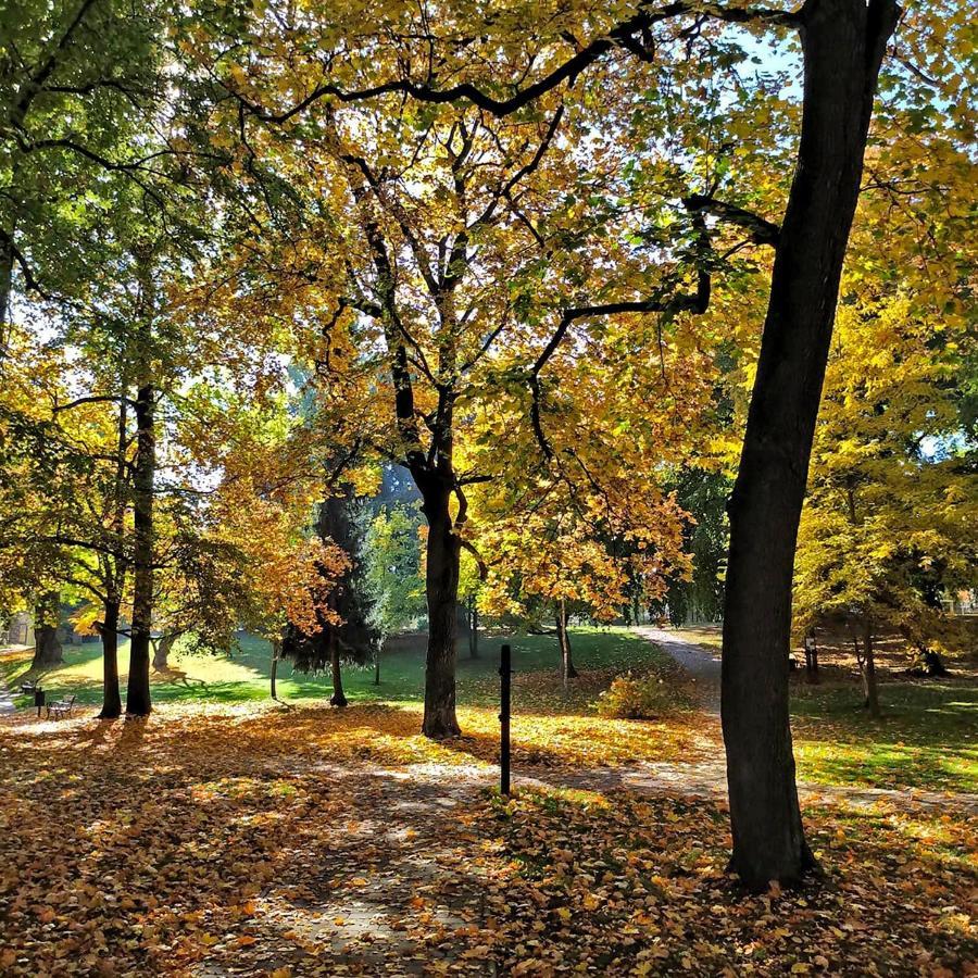Dvůr Králové nad Labem Apartmany Monastery Suites Zirec מראה חיצוני תמונה