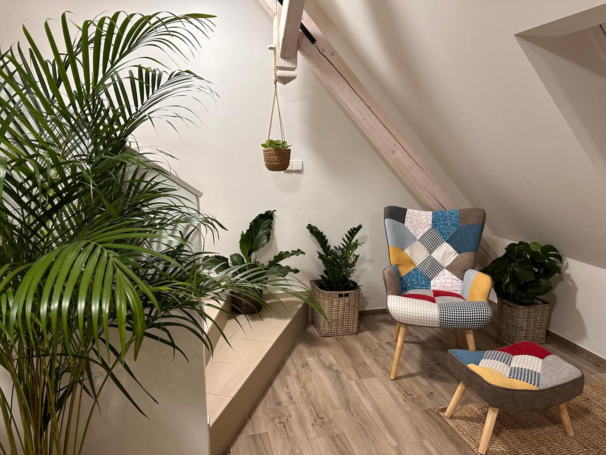 Dvůr Králové nad Labem Apartmany Monastery Suites Zirec מראה חיצוני תמונה